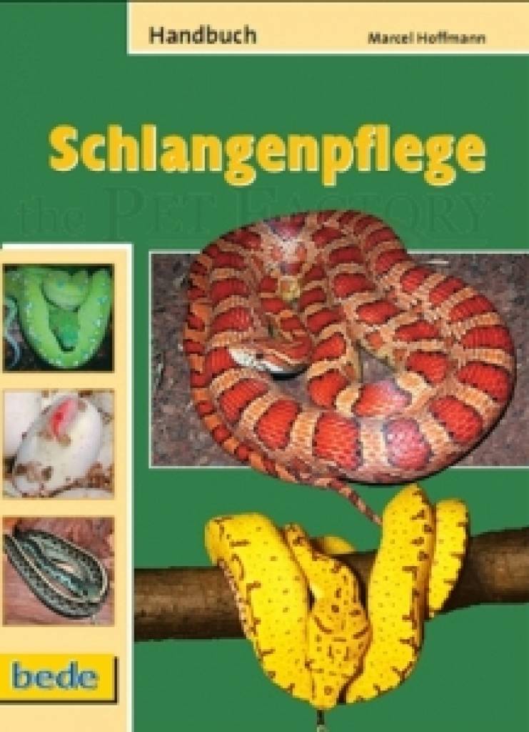 Schlangenpflege